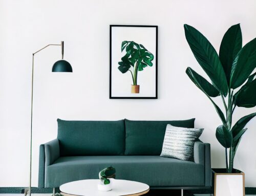 Todo lo que necesitas saber sobre pintura interior